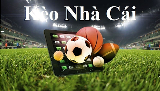 Tìm hiểu về kèo nhà cái Việt Nam và các loại kèo phổ biến