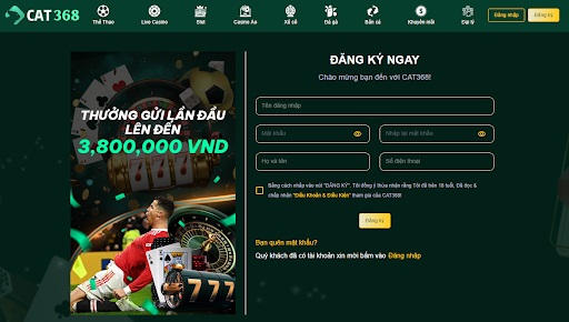 Hướng dẫn đăng ký CAT368 thành công cho người chơi mới